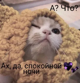 Sticker спокойной ночи @rjakasticks - 9