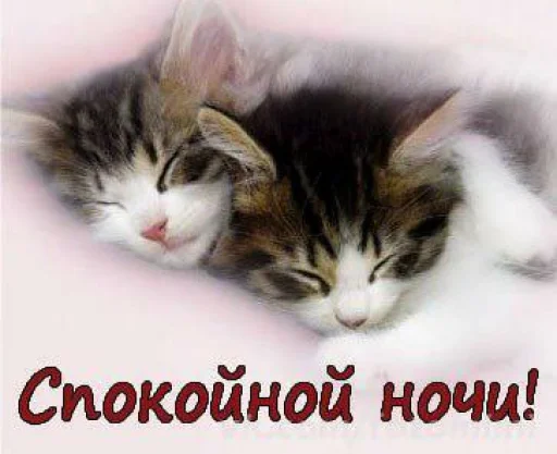 Sticker спокойной ночи @rjakasticks - 2