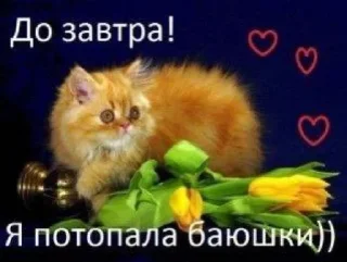 Sticker спокойной ночи @rjakasticks - 8