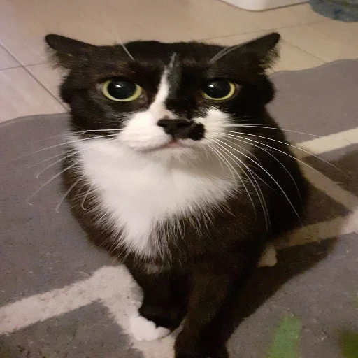 Sticker dobruestickeri34 - 1