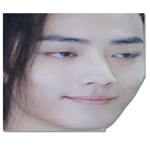 human face eyebrow person