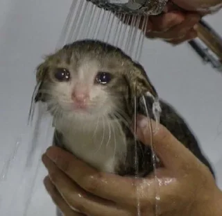 Стикер додосин стикерпак - 10