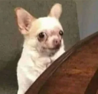 Стикер додосин стикерпак - 2