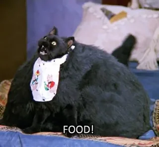 Стикер додосин стикерпак - 5