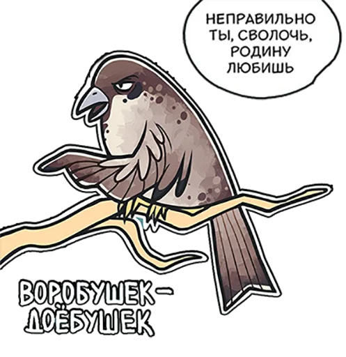 bird illustration clipart