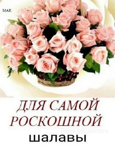 text rose birthday cake