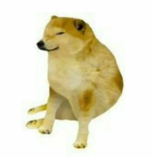 Стикер doge - 1