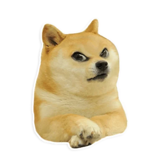 животное млекопитающее домашнее животное