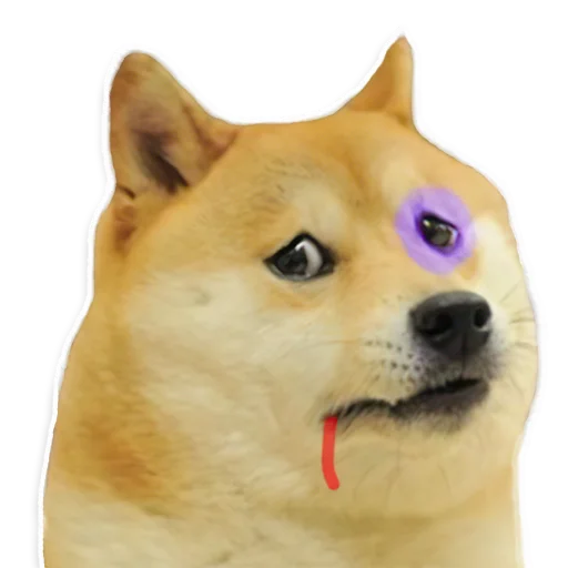 животное собака млекопитающее