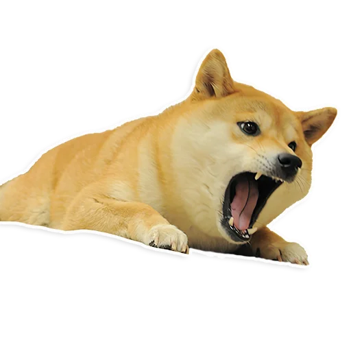 животное млекопитающее рыло