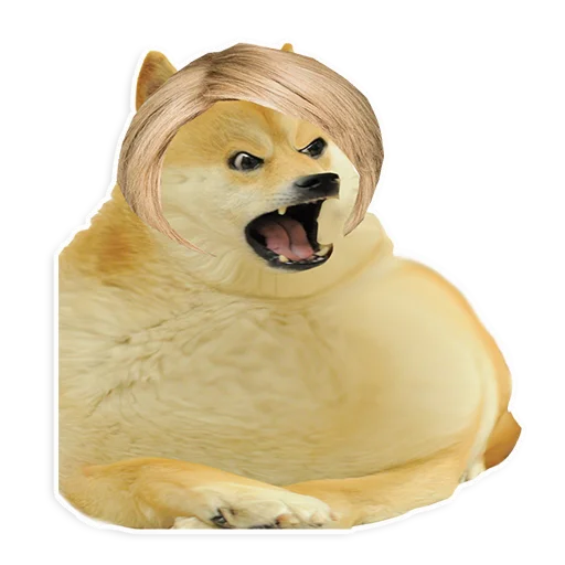 собака животное