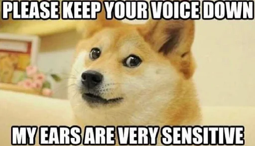 Стикер Dogetard Pack {By @MobiusS} - 6