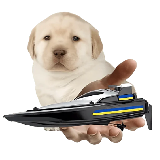 Friendly nationalist - 