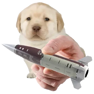 Стикер Friendly nationalist - 9