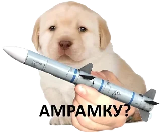 Стикер Friendly nationalist - 4