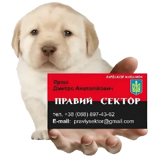 Стикер Friendly nationalist - 6