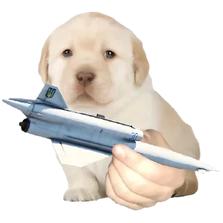 Стикер Friendly nationalist - 8