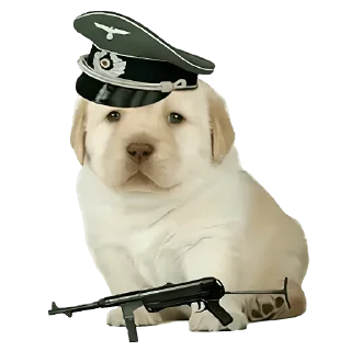 Стикер Friendly nationalist - 7