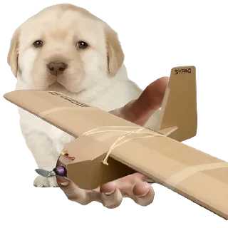 Стикер Friendly nationalist - 0