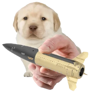 Стикер Friendly nationalist - 11