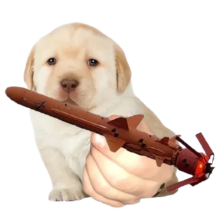 Стикер Friendly nationalist - 5