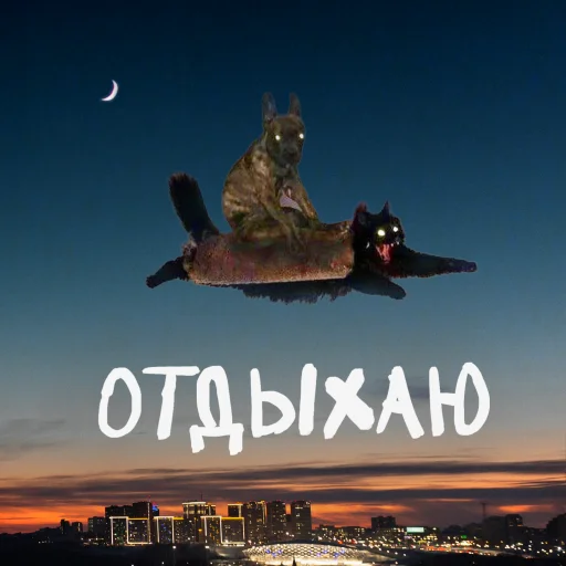 Стикер doggodoinghisbest - 1