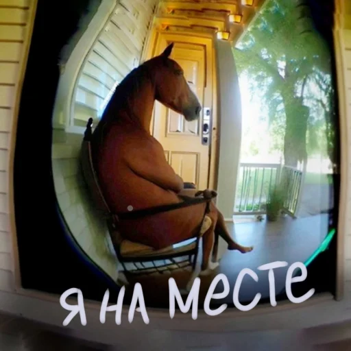 Sticker doggodoinghisbest - 1