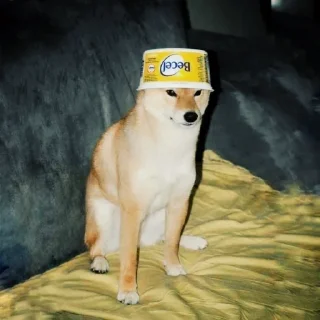 Sticker doggodoinghisbest - 7