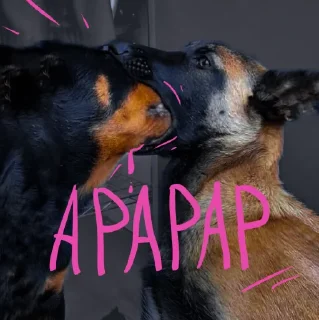 Sticker doggodoinghisbest - 10