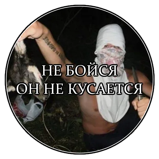 Sticker doghunters - 1