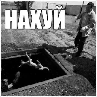 Sticker doghunter - 10