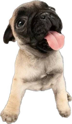 Sticker dogs_by_stkpbot - 1