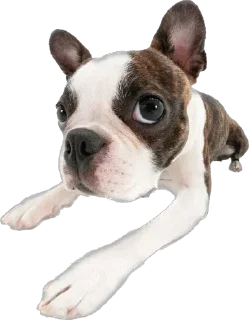 Стикер ∞︎ @stickersff ∞ - 10