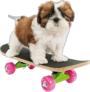 Стикер ∞︎ @stickersff ∞ - 6