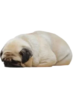 Стикер ∞︎ @stickersff ∞ - 0