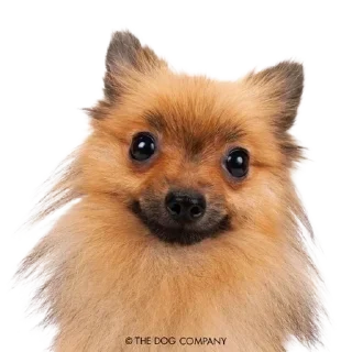 Стикер ∞︎ @stickersff ∞ - 8