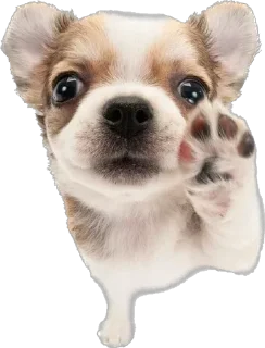 Стикер ∞︎ @stickersff ∞ - 4