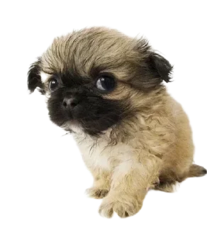 Стикер ∞︎ @stickersff ∞ - 2