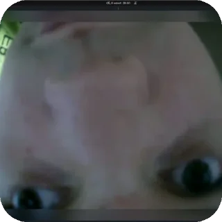 Sticker долбаебы 2 - 4