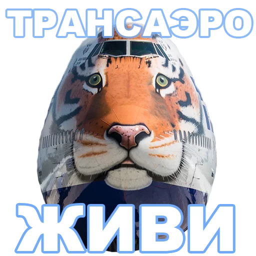 СМС рыба плакат