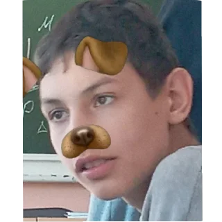 Sticker домофон - 4