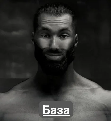 Sticker Don Pussee - 11