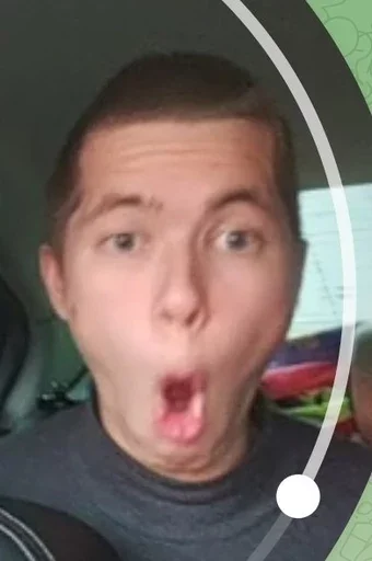 Sticker Don Pussee - 0