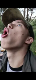 Sticker Don Pussee - 6