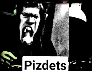 Sticker Don Pussee - 7