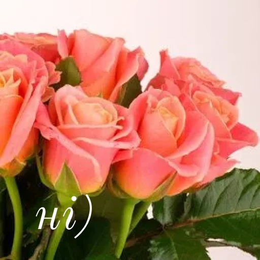 Стикер щиро кохаю!) - 6