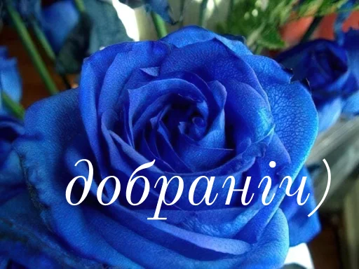 Стикер щиро кохаю!) - 5