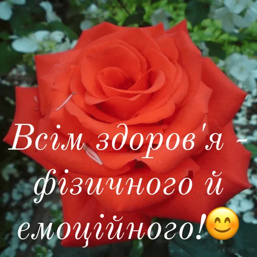 Стикер щиро кохаю!) - 3