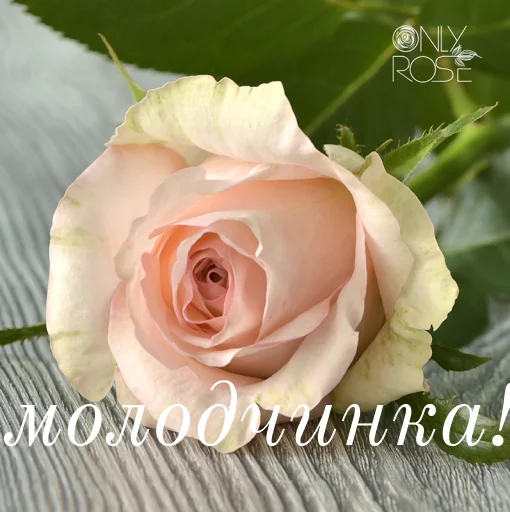 Стикер щиро кохаю!) - 1