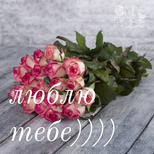 Стикер щиро кохаю!) - 0